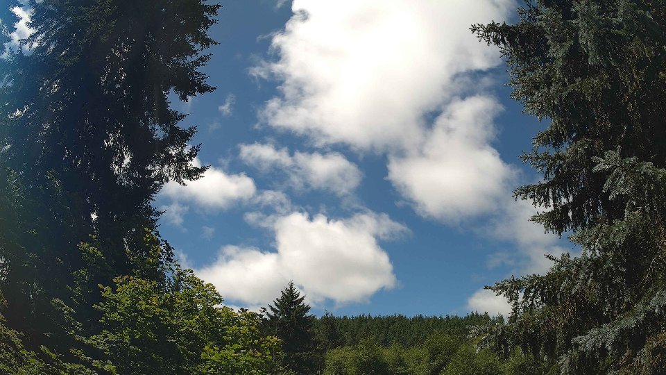 Pacific Northwest skyline timelapse frame from Jul 10th, 2026 at 12:15 PM