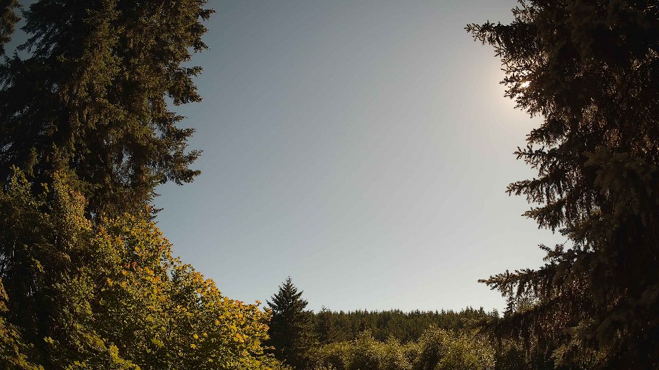 Pacific Northwest skyline timelapse frame from Jul 10th, 2026 at 5:00 PM