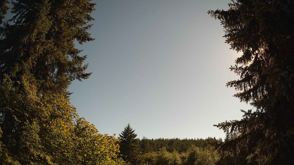 Pacific Northwest skyline timelapse frame from Jul 10th, 2026 at 5:30 PM