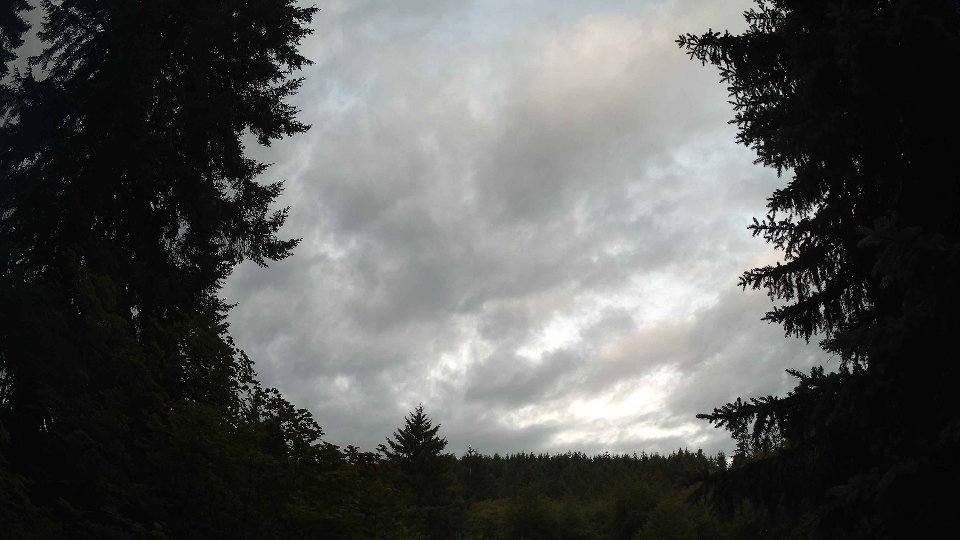 Pacific Northwest skyline timelapse frame from Jul 11th, 2026 at 5:30 AM