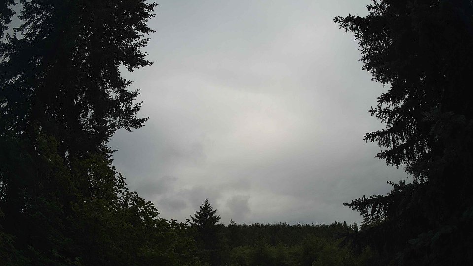 Pacific Northwest skyline timelapse frame from Jul 11th, 2026 at 8:00 AM