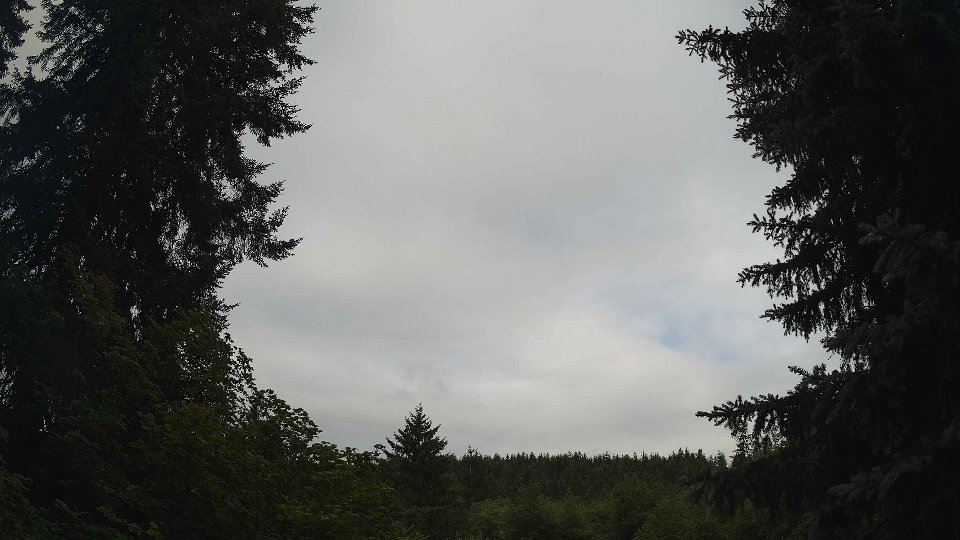 Pacific Northwest skyline timelapse frame from Jul 11th, 2026 at 8:30 AM