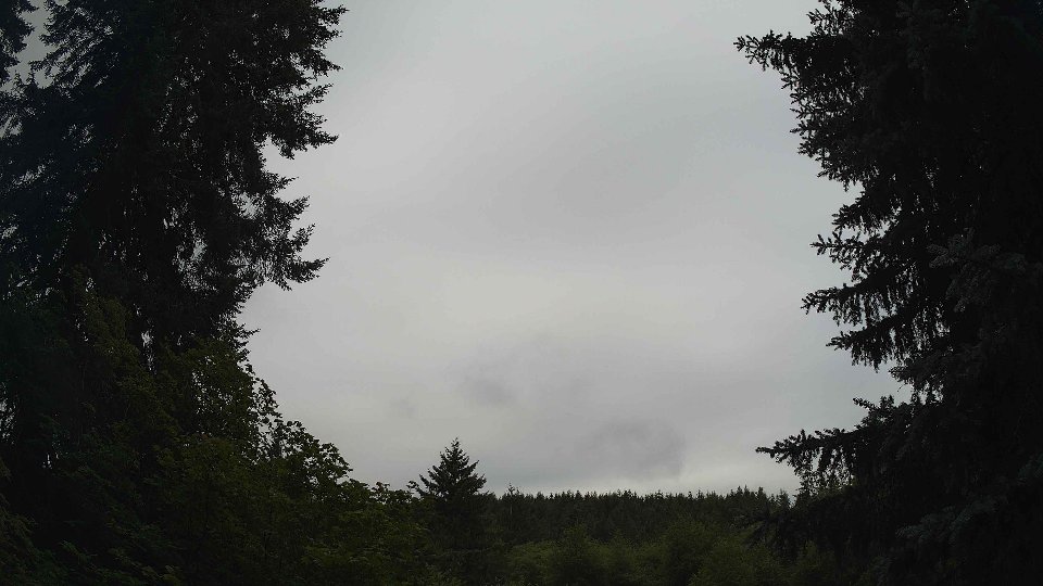 Pacific Northwest skyline timelapse frame from Jul 11th, 2026 at 8:45 AM