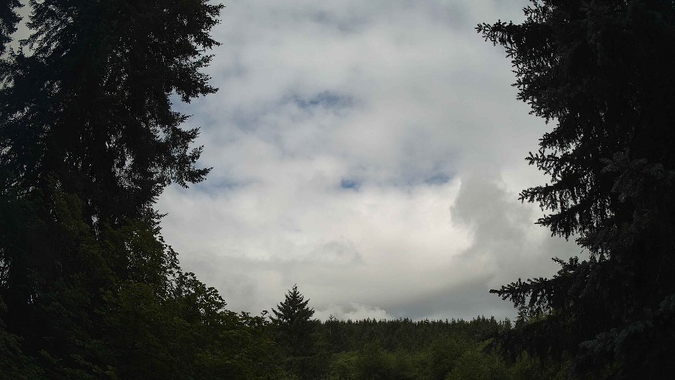 Pacific Northwest skyline timelapse frame from Jul 11th, 2026 at 9:30 AM