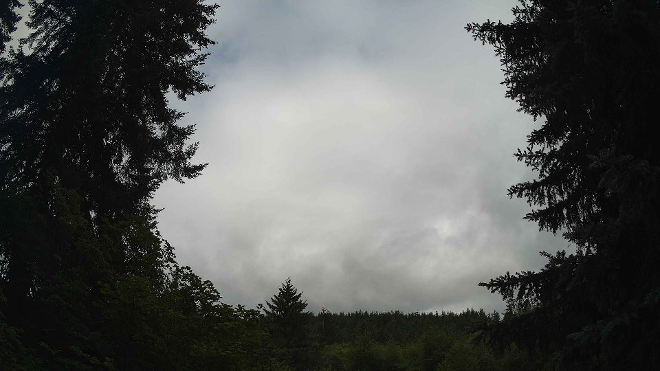 Pacific Northwest skyline timelapse frame from Jul 11th, 2026 at 10:00 AM