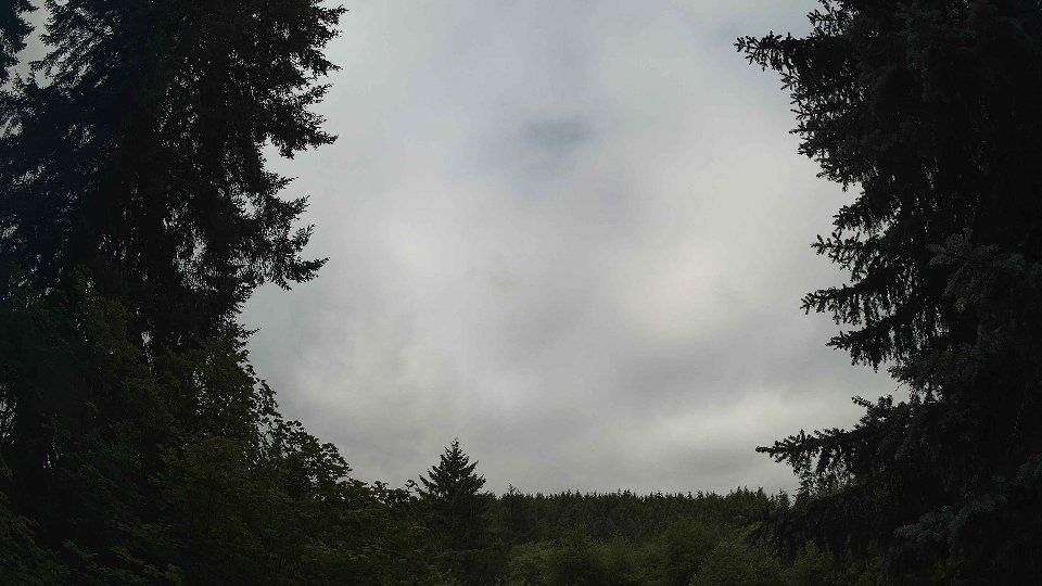 Pacific Northwest skyline timelapse frame from Jul 11th, 2026 at 10:15 AM