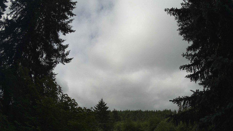 Pacific Northwest skyline timelapse frame from Jul 11th, 2026 at 10:45 AM