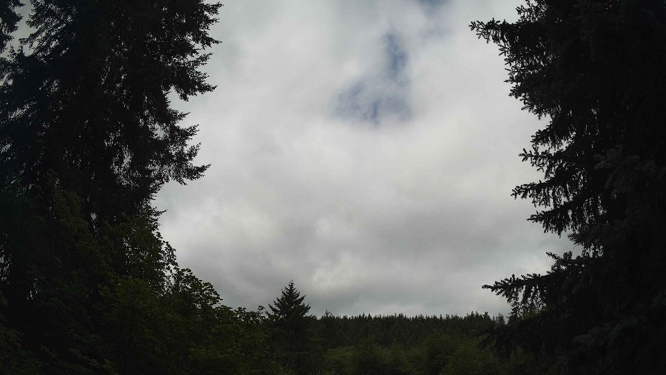 Pacific Northwest skyline timelapse frame from Jul 11th, 2026 at 11:00 AM