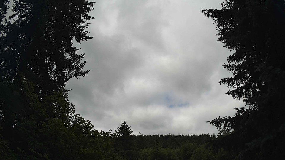 Pacific Northwest skyline timelapse frame from Jul 11th, 2026 at 11:15 AM
