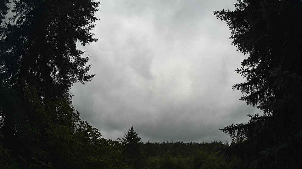 Pacific Northwest skyline timelapse frame from Jul 11th, 2026 at 11:30 AM