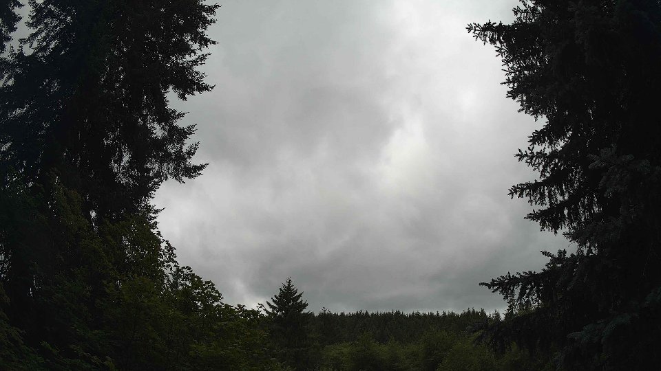 Pacific Northwest skyline timelapse frame from Jul 11th, 2026 at 11:45 AM