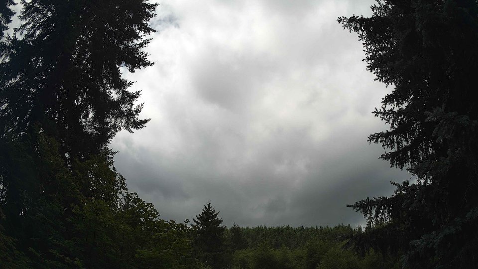 Pacific Northwest skyline timelapse frame from Jul 11th, 2026 at 12:00 PM