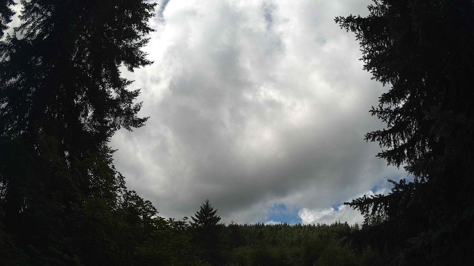 Pacific Northwest skyline timelapse frame from Jul 11th, 2026 at 12:15 PM