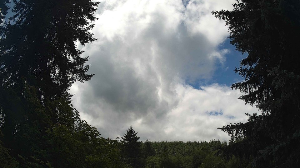 Pacific Northwest skyline timelapse frame from Jul 11th, 2026 at 12:30 PM