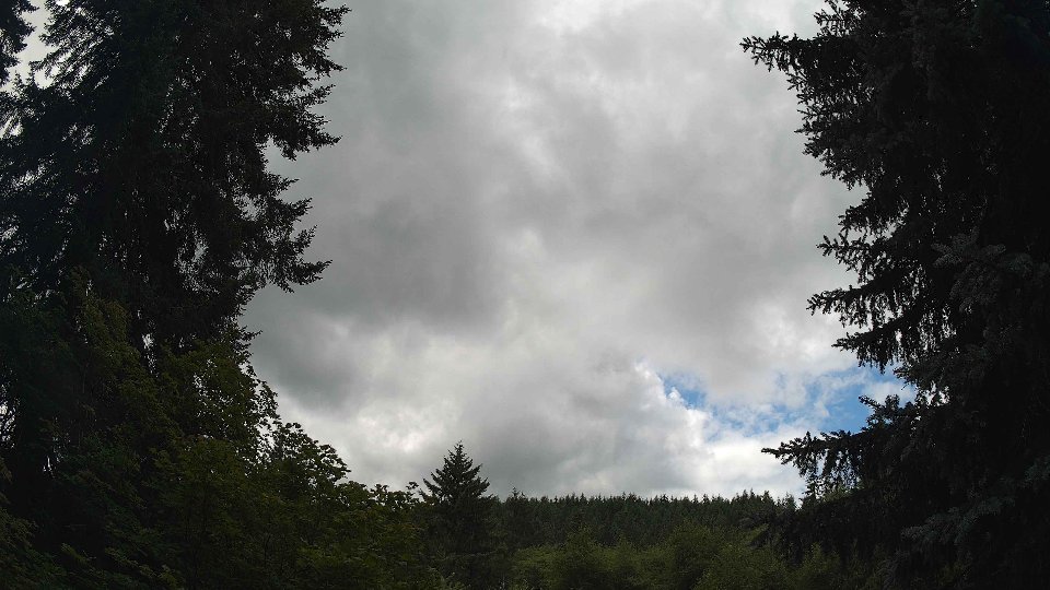 Pacific Northwest skyline timelapse frame from Jul 11th, 2026 at 12:45 PM