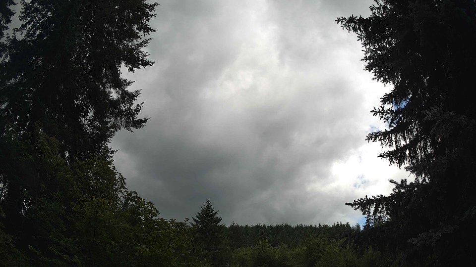 Pacific Northwest skyline timelapse frame from Jul 11th, 2026 at 1:15 PM