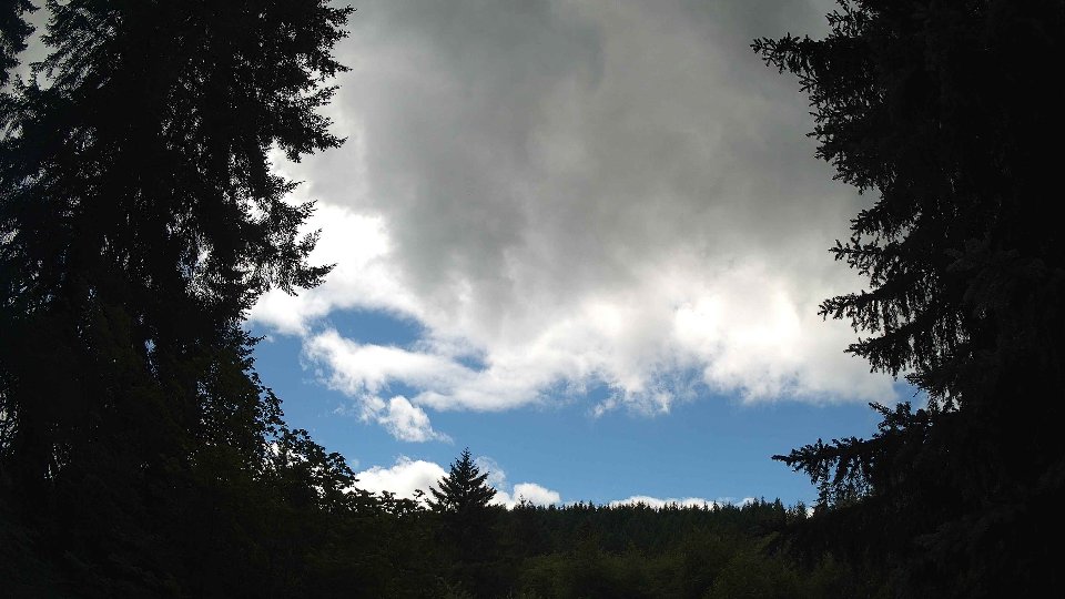 Pacific Northwest skyline timelapse frame from Jul 11th, 2026 at 1:30 PM
