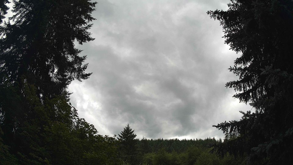 Pacific Northwest skyline timelapse frame from Jul 11th, 2026 at 2:00 PM