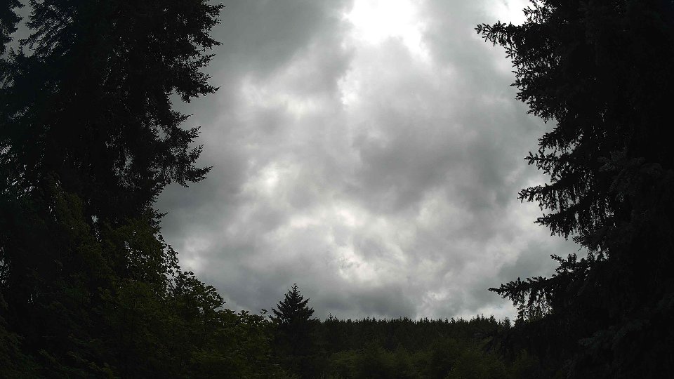 Pacific Northwest skyline timelapse frame from Jul 11th, 2026 at 2:15 PM