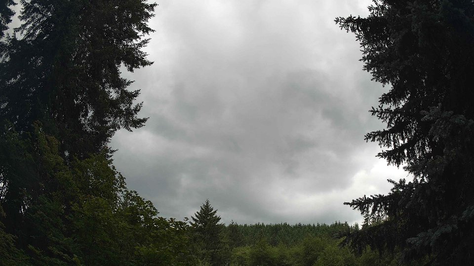 Pacific Northwest skyline timelapse frame from Jul 11th, 2026 at 2:30 PM