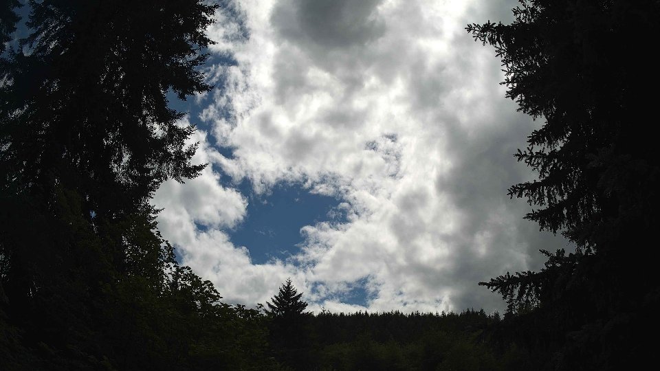 Pacific Northwest skyline timelapse frame from Jul 11th, 2026 at 3:15 PM