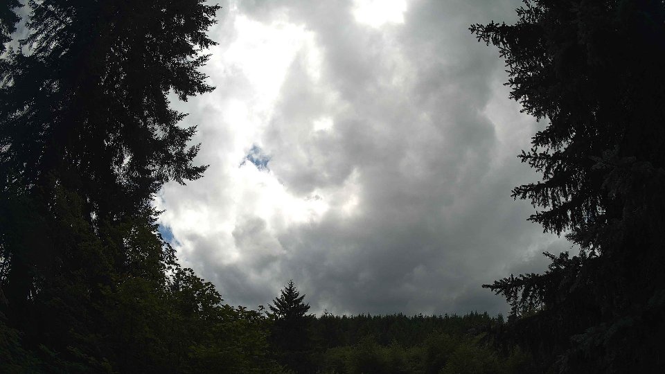 Pacific Northwest skyline timelapse frame from Jul 11th, 2026 at 3:30 PM