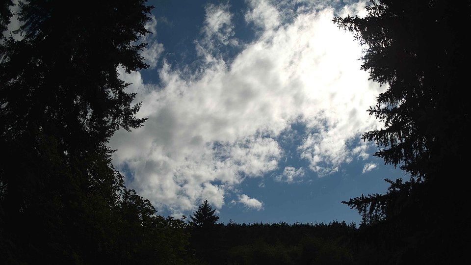 Pacific Northwest skyline timelapse frame from Jul 11th, 2026 at 4:45 PM
