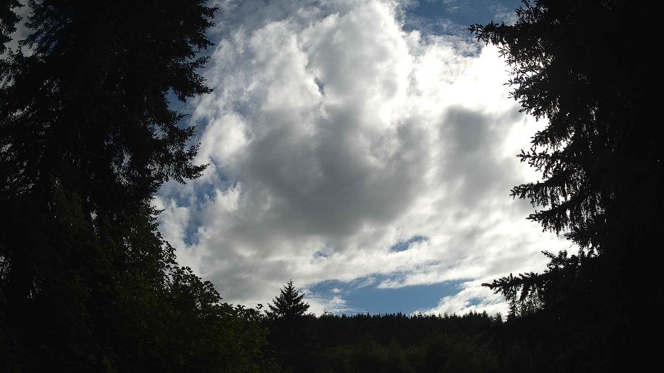Pacific Northwest skyline timelapse frame from Jul 11th, 2026 at 5:00 PM