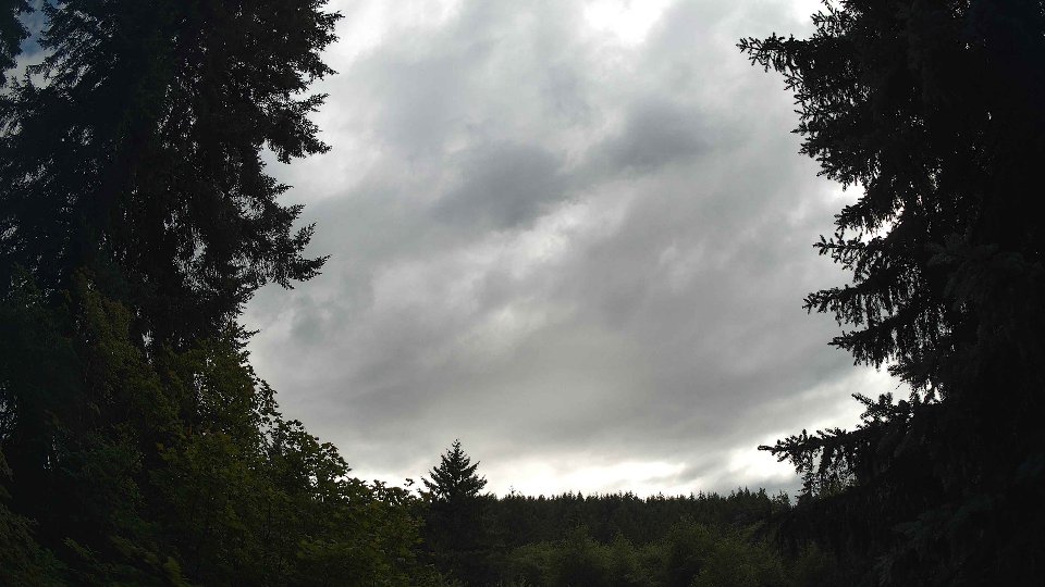 Pacific Northwest skyline timelapse frame from Jul 11th, 2026 at 5:15 PM