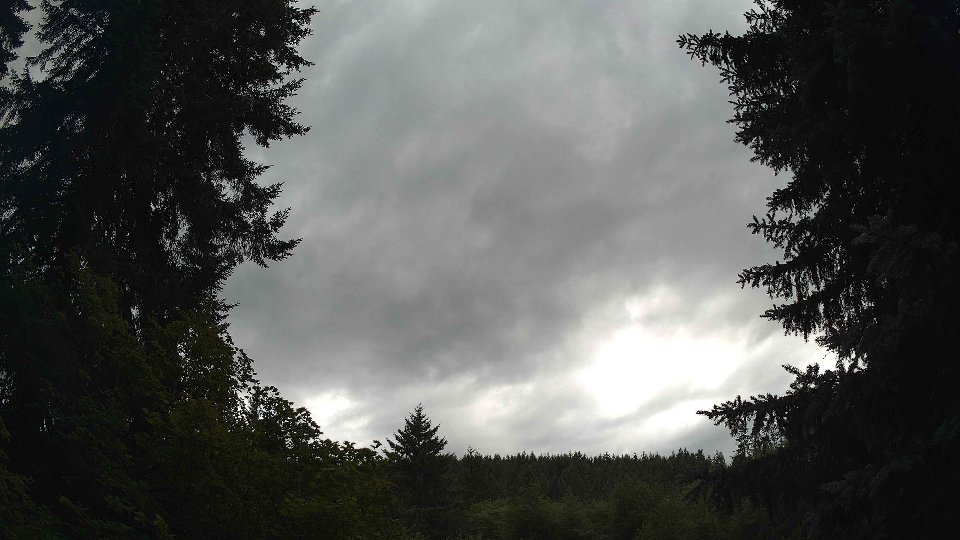 Pacific Northwest skyline timelapse frame from Jul 11th, 2026 at 5:30 PM