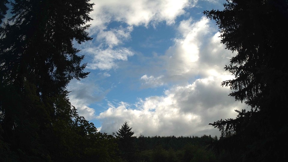 Pacific Northwest skyline timelapse frame from Jul 11th, 2026 at 7:00 PM