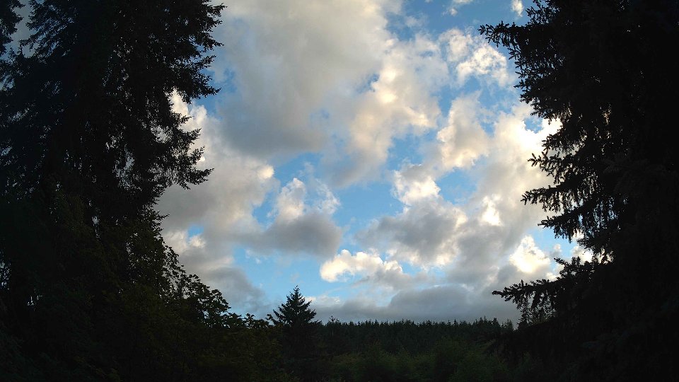 Pacific Northwest skyline timelapse frame from Jul 11th, 2026 at 8:30 PM