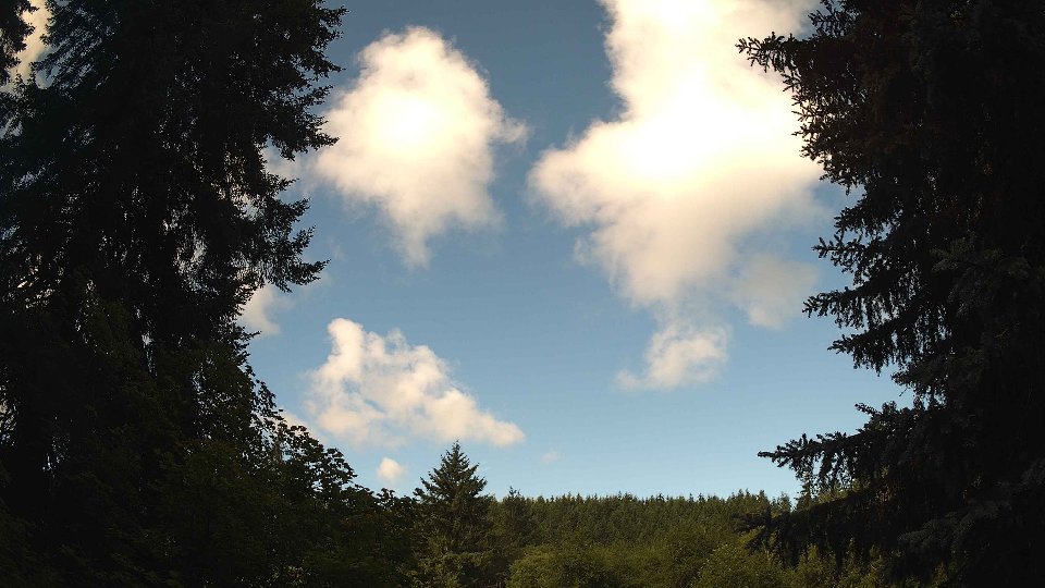 Pacific Northwest skyline timelapse frame from Jul 12th, 2026 at 8:45 AM