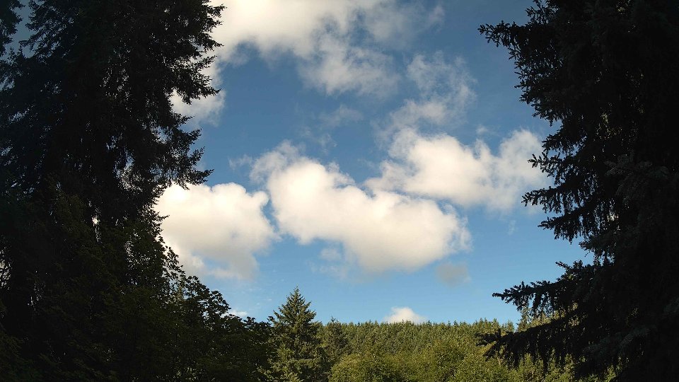 Pacific Northwest skyline timelapse frame from Jul 12th, 2026 at 9:00 AM