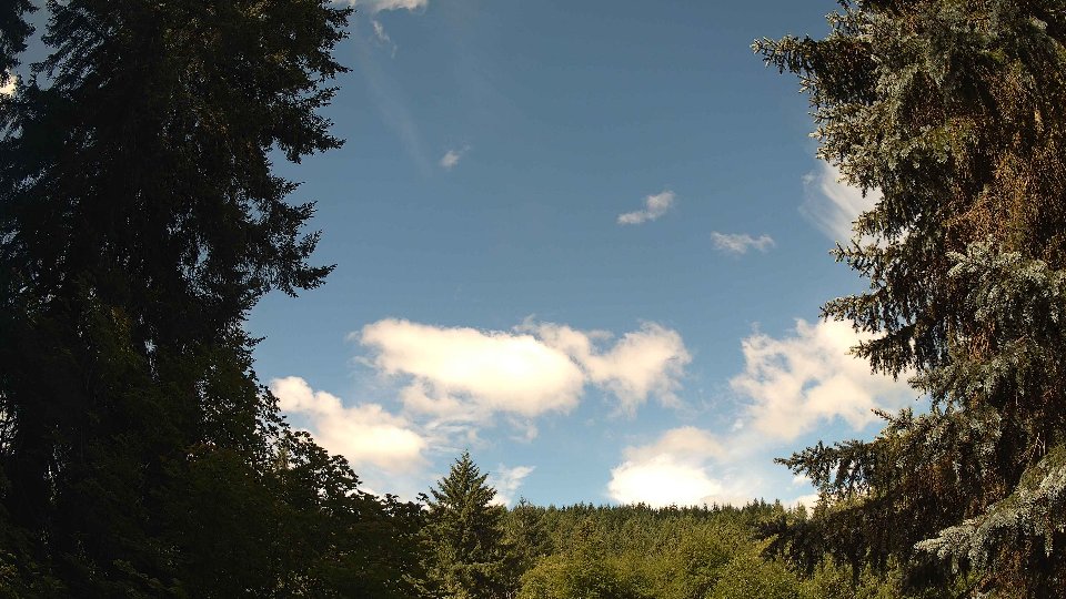 Pacific Northwest skyline timelapse frame from Jul 12th, 2026 at 10:00 AM