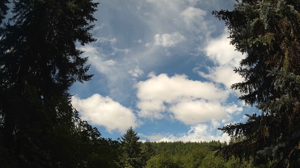 Pacific Northwest skyline timelapse frame from Jul 12th, 2026 at 10:15 AM