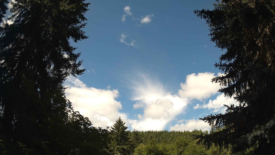 Pacific Northwest skyline timelapse frame from Jul 12th, 2026 at 10:30 AM