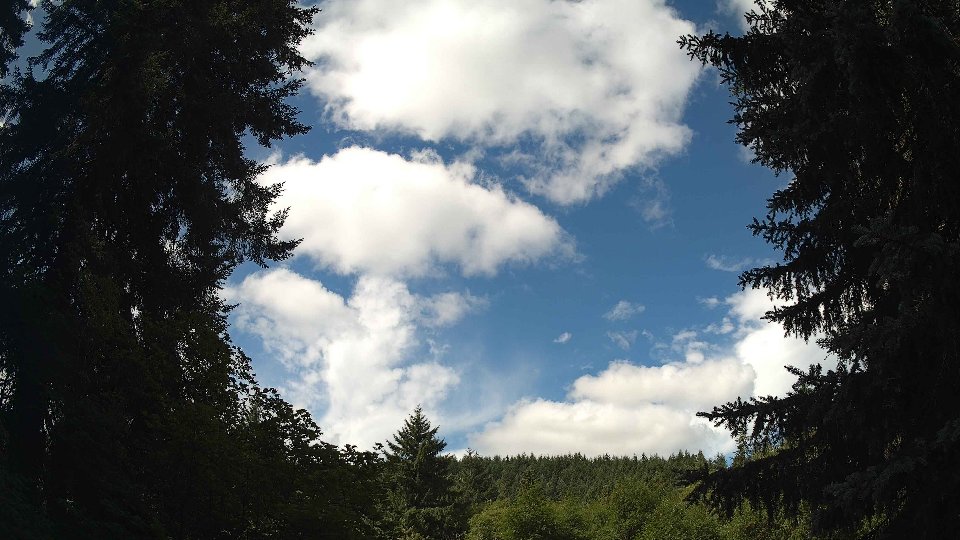 Pacific Northwest skyline timelapse frame from Jul 12th, 2026 at 11:00 AM