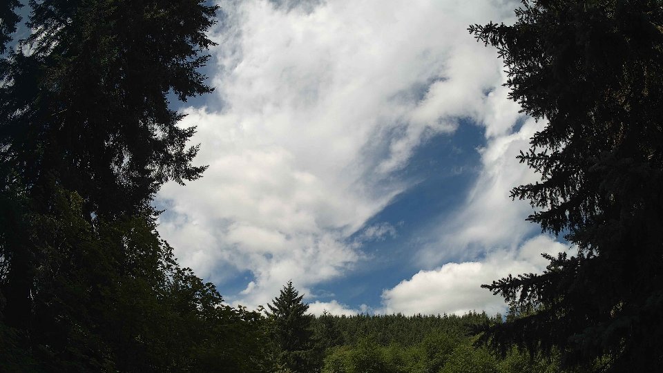 Pacific Northwest skyline timelapse frame from Jul 12th, 2026 at 11:15 AM