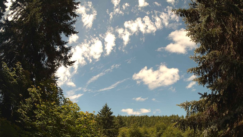 Pacific Northwest skyline timelapse frame from Jul 12th, 2026 at 11:45 AM