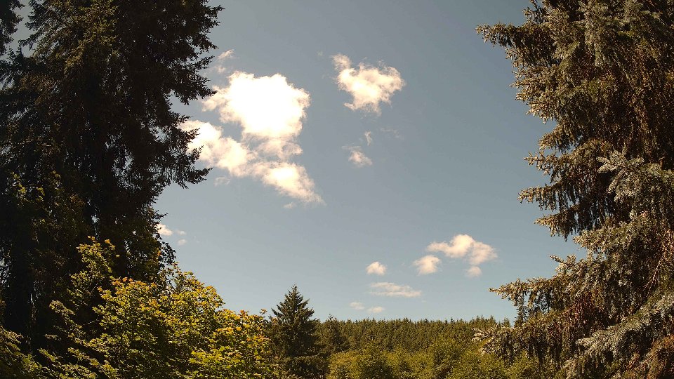 Pacific Northwest skyline timelapse frame from Jul 12th, 2026 at 12:00 PM