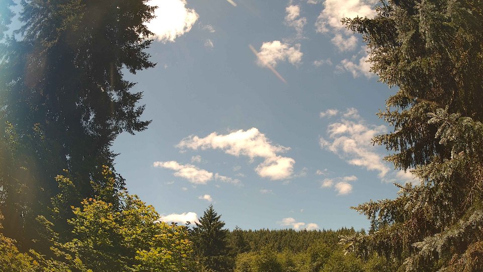 Pacific Northwest skyline timelapse frame from Jul 12th, 2026 at 12:15 PM