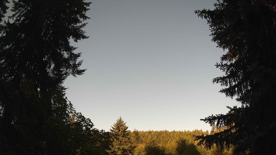 Pacific Northwest skyline timelapse frame from Jul 13th, 2026 at 8:00 AM