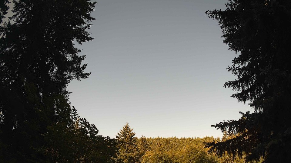 Pacific Northwest skyline timelapse frame from Jul 13th, 2026 at 8:30 AM