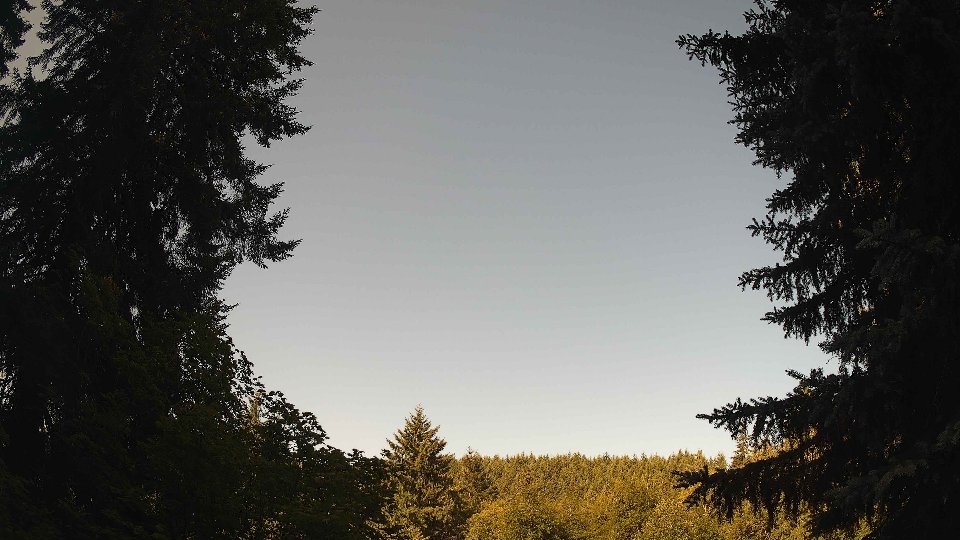 Pacific Northwest skyline timelapse frame from Jul 13th, 2026 at 9:00 AM