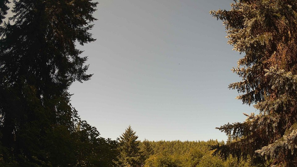 Pacific Northwest skyline timelapse frame from Jul 13th, 2026 at 10:00 AM