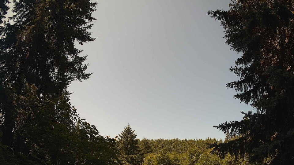 Pacific Northwest skyline timelapse frame from Jul 13th, 2026 at 11:15 AM