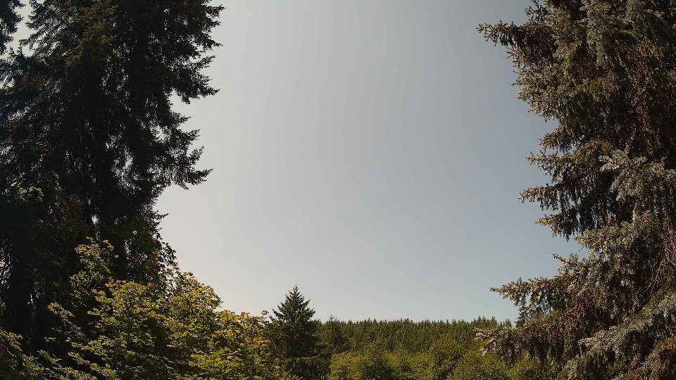 Pacific Northwest skyline timelapse frame from Jul 13th, 2026 at 12:00 PM