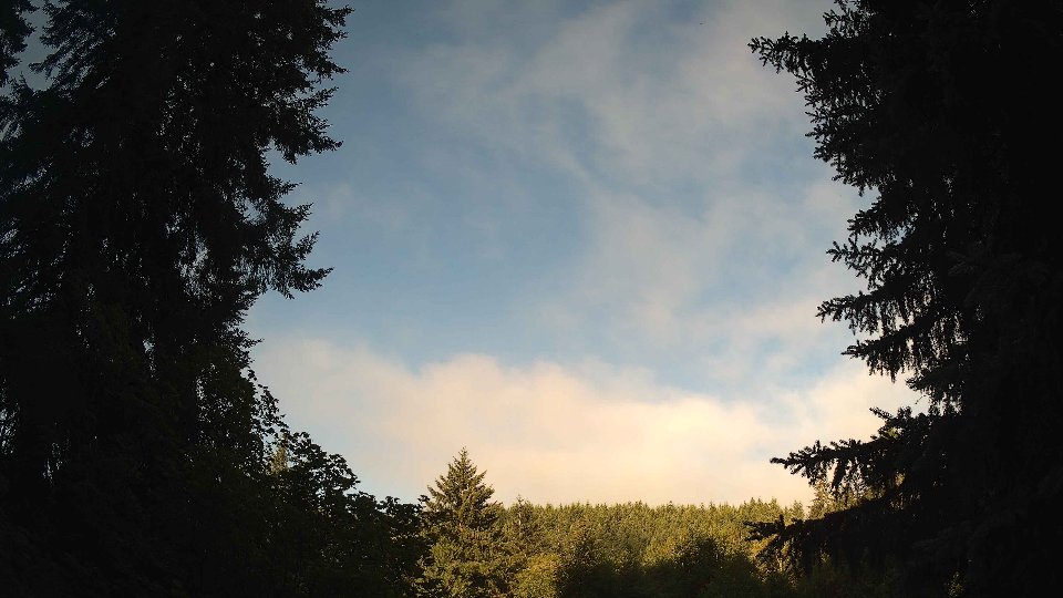 Pacific Northwest skyline timelapse frame from Jul 14th, 2026 at 7:30 AM