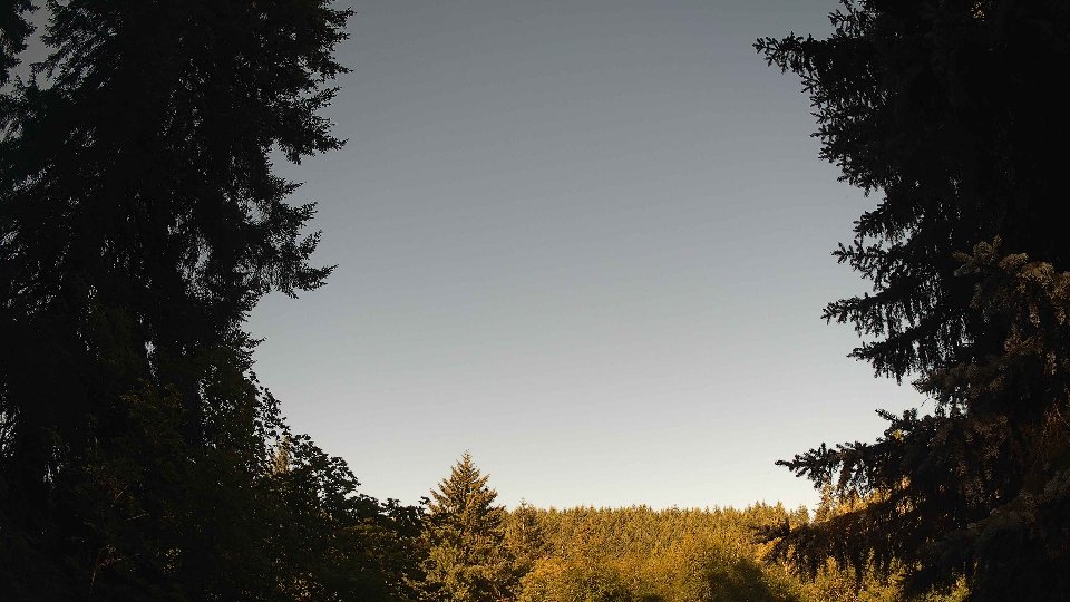 Pacific Northwest skyline timelapse frame from Jul 14th, 2026 at 8:15 AM